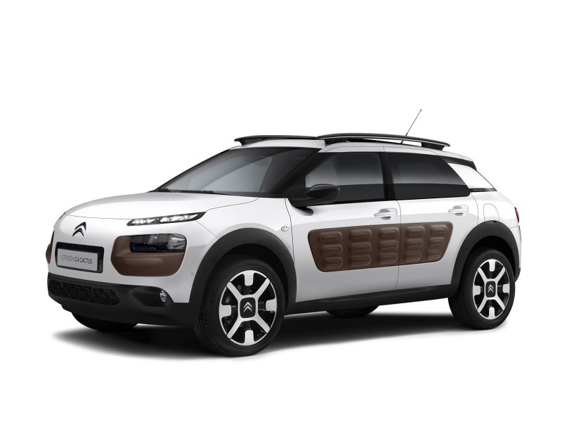 Citreon Cactus
